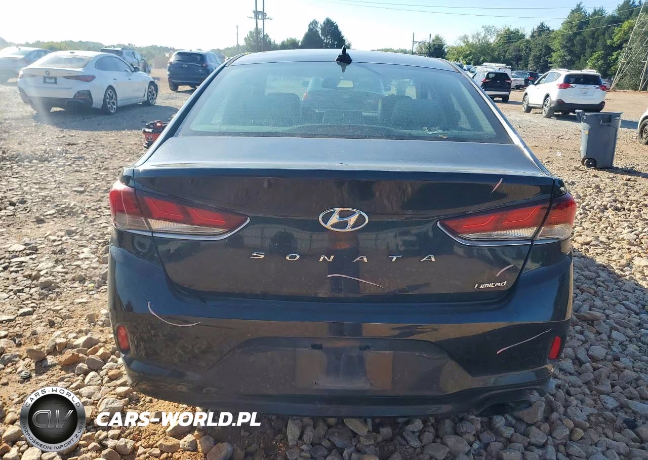 2019 Hyundai Sonata Limited VIN:5NPE34AF8KH743731 - 6
