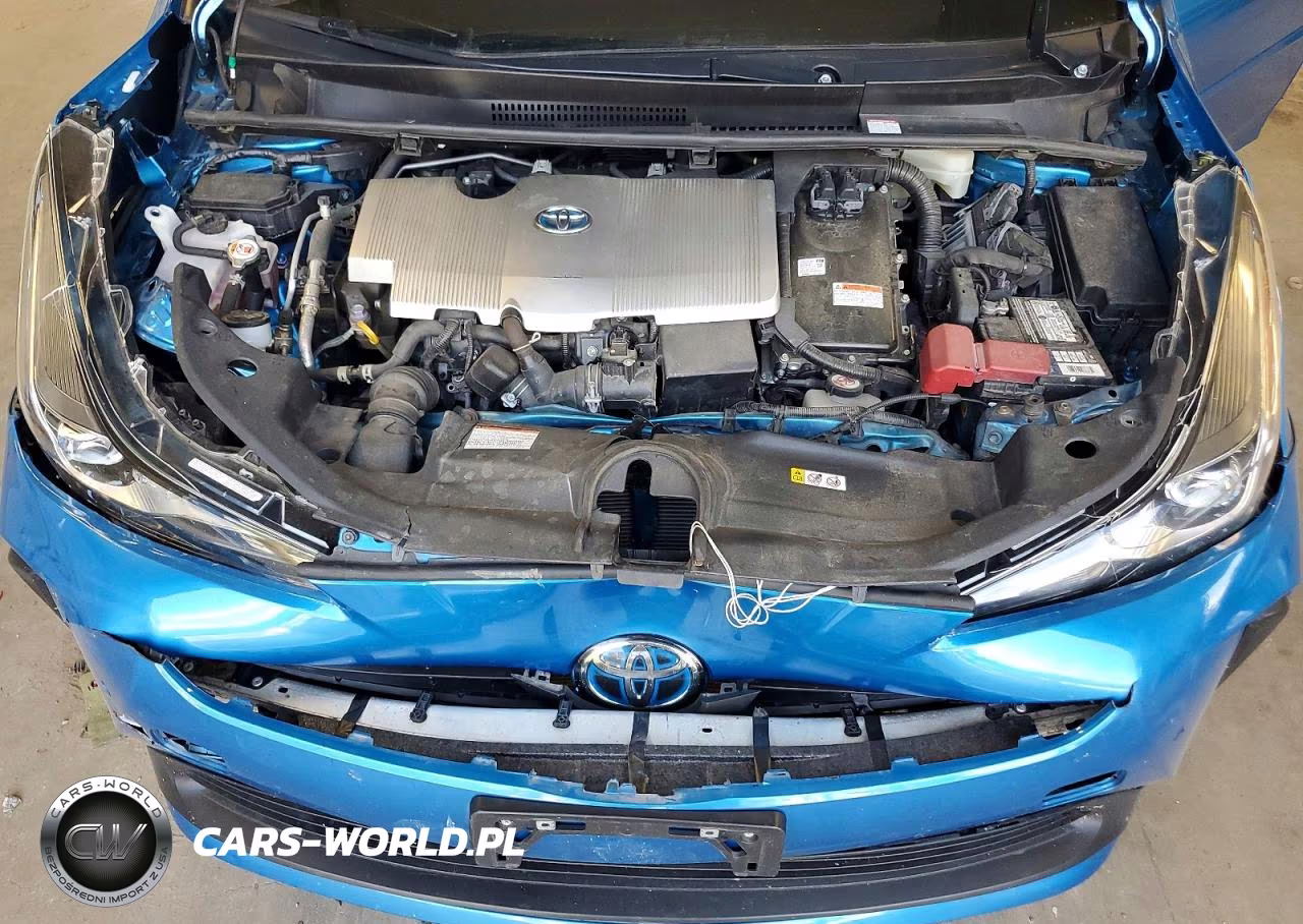 TOYOTA PRIUS SPEC VIN:JTDKAMFU5M3131338 - 11