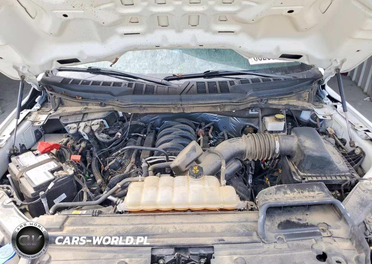 2023 Ford F150 Supercrew VIN:1FTFW1E52PKF34599 - 11