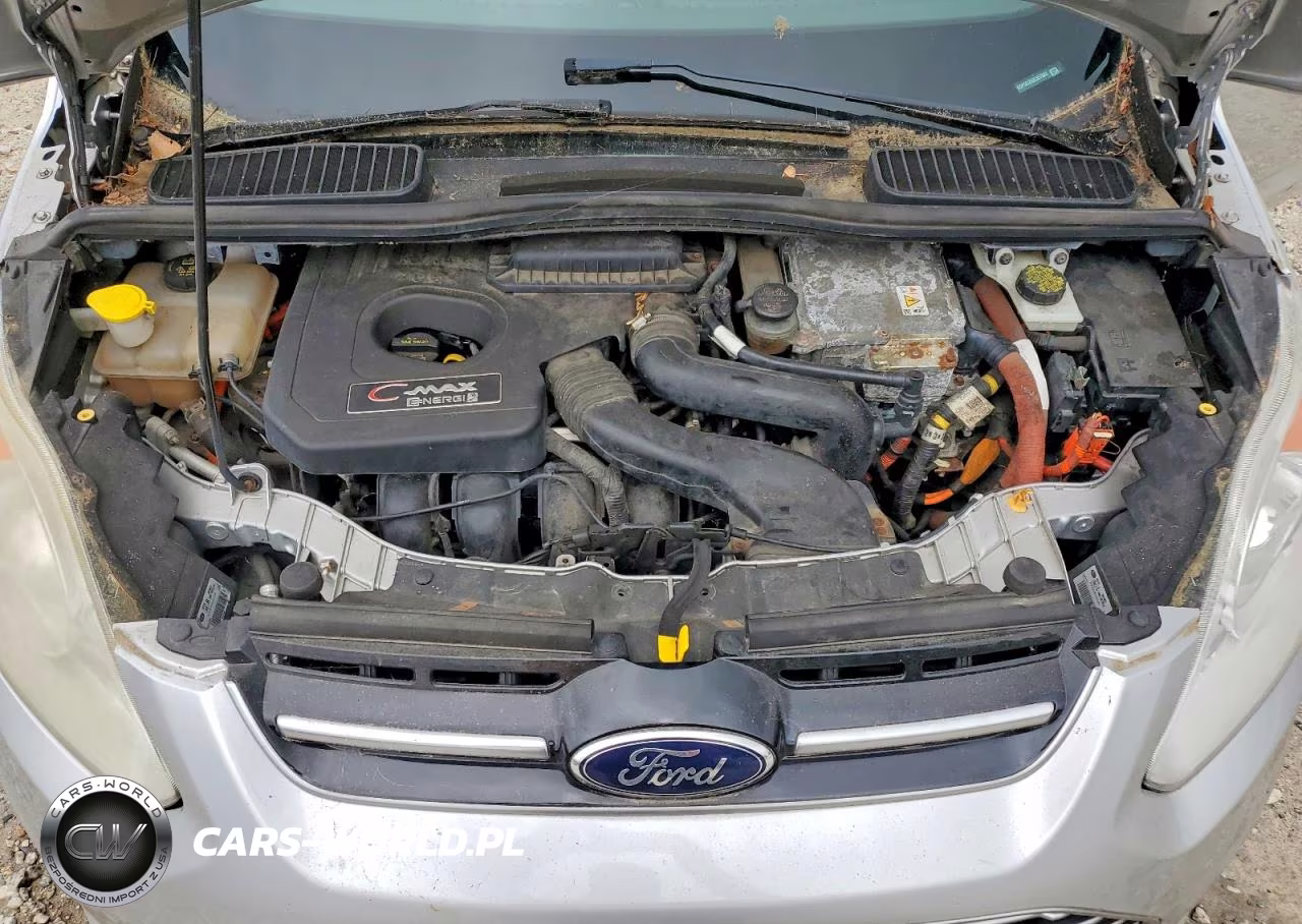 2013 Ford C-Max Premium VIN:1FADP5CU5DL557683 - 11