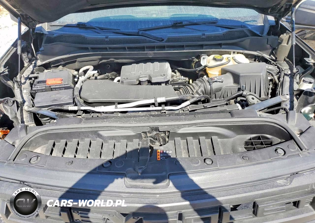 2022 Chevrolet Silverado K1500 Trail Boss Custom VIN:3GCPDCEK2NG569787 - 11