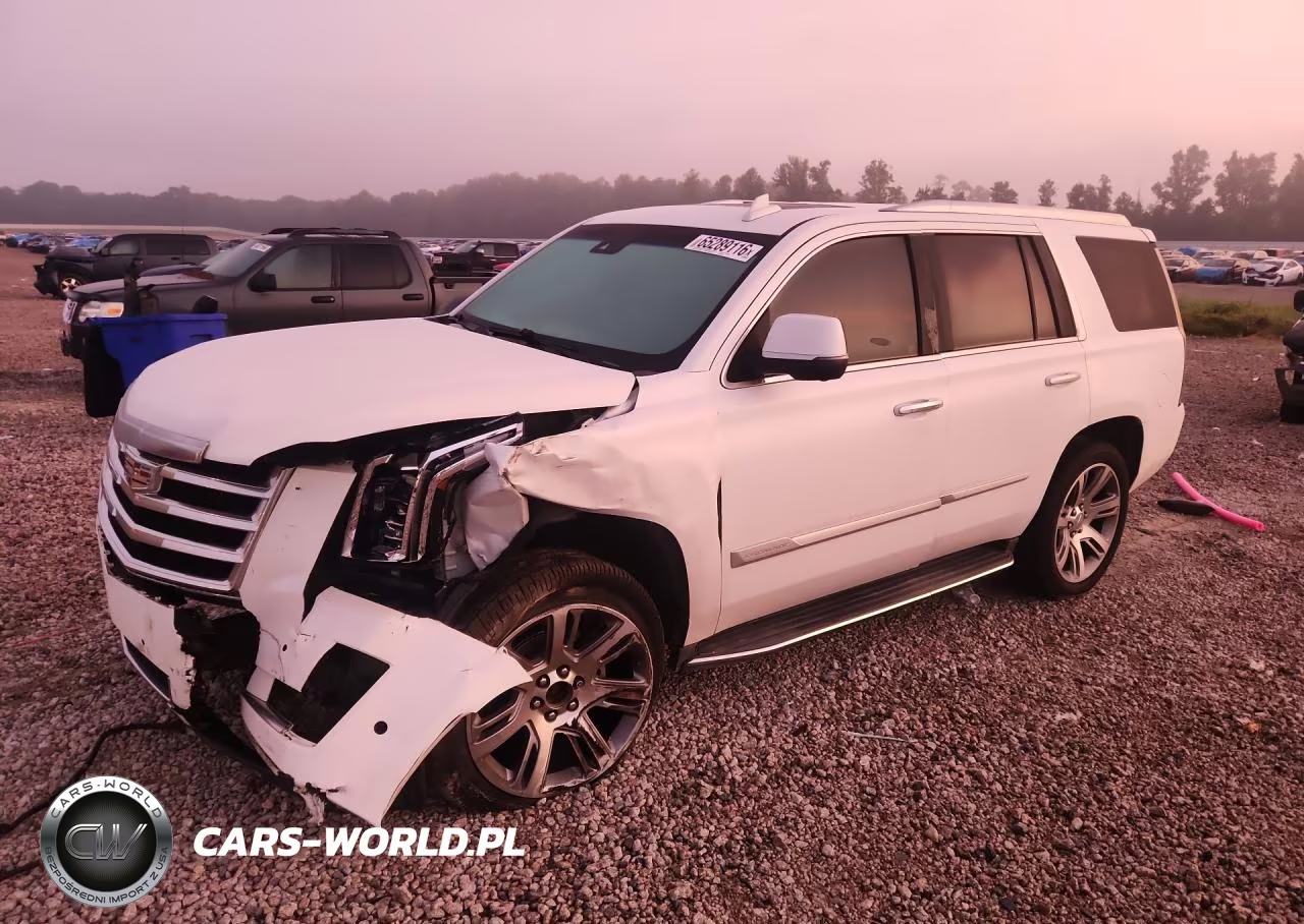 2017 Cadillac Escalade Luxury VIN:1GYS4BKJXHR149600 - 1