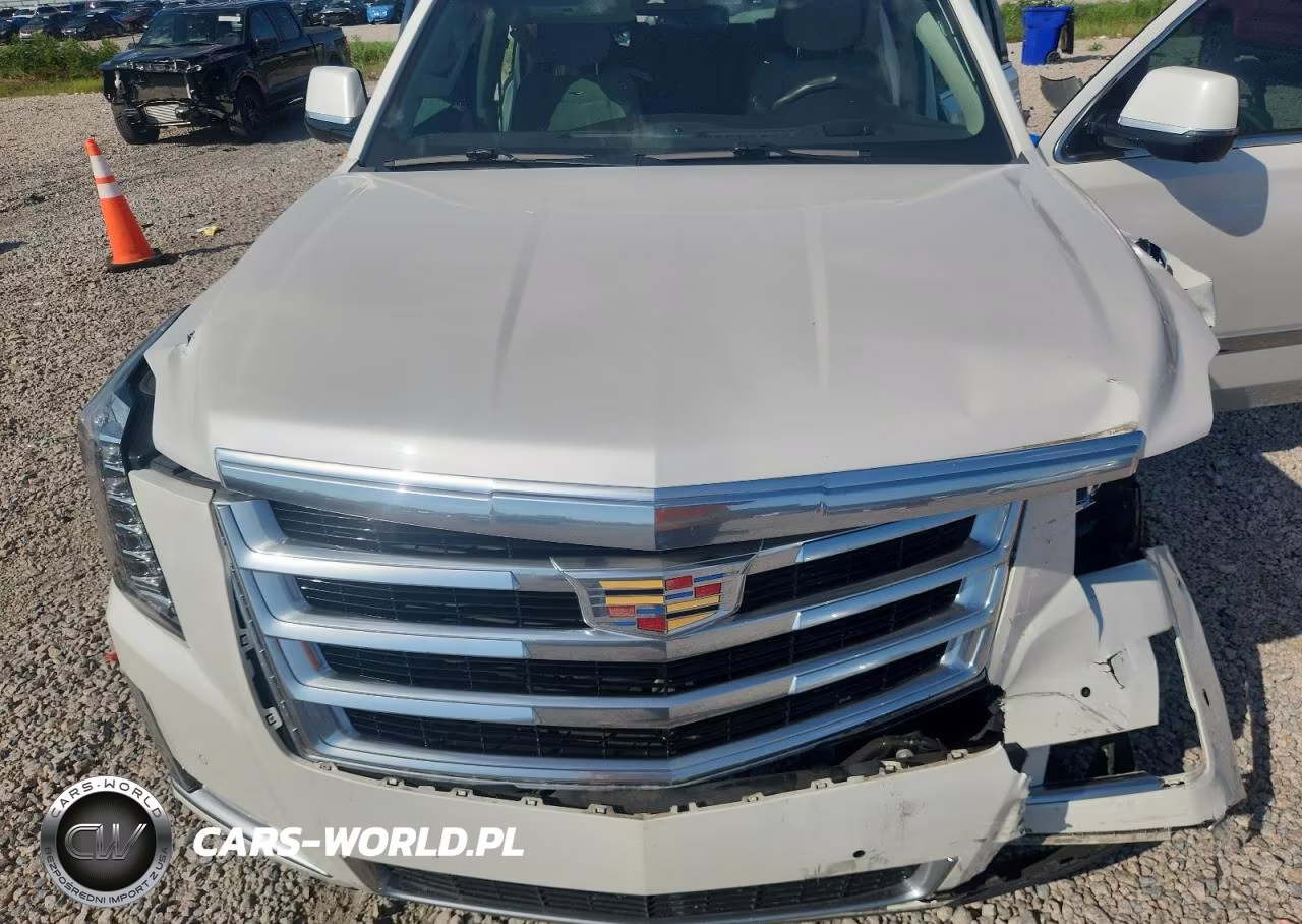 2017 Cadillac Escalade Luxury VIN:1GYS4BKJXHR149600 - 12