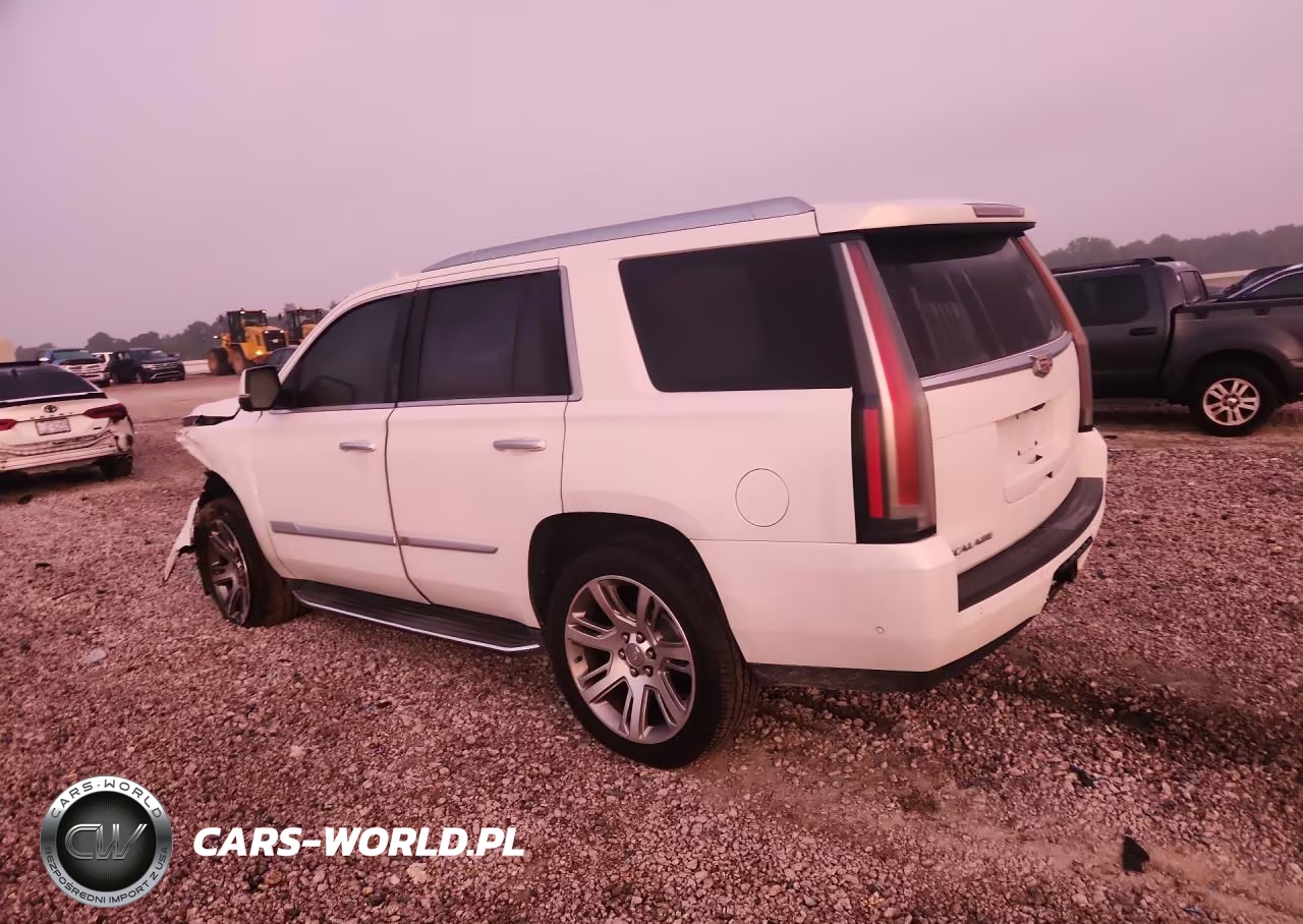 2017 Cadillac Escalade Luxury VIN:1GYS4BKJXHR149600 - 2