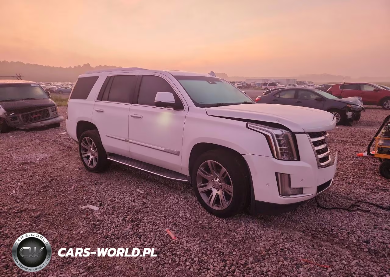 2017 Cadillac Escalade Luxury VIN:1GYS4BKJXHR149600 - 4