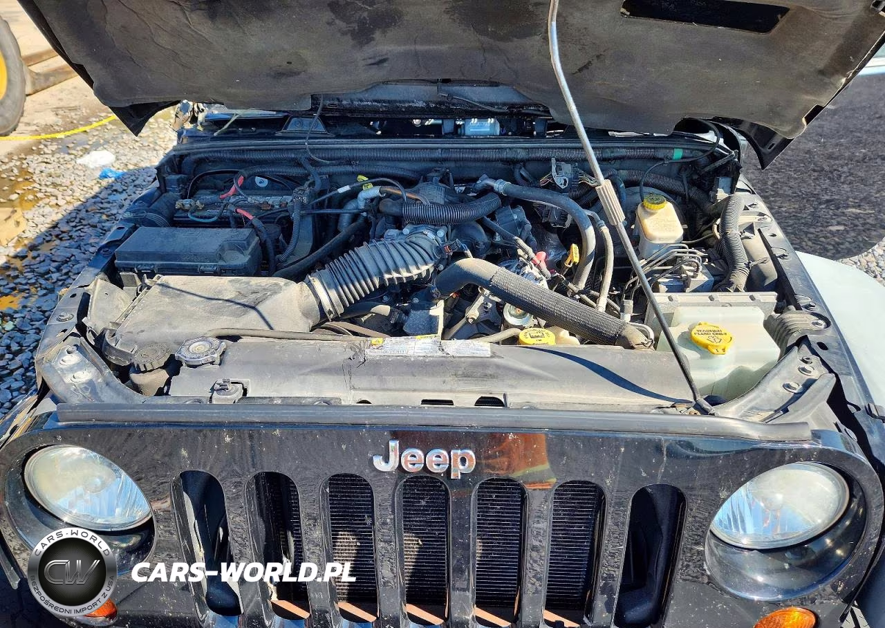 2011 Jeep Wrangler Unlimited Rubicon VIN:1J4BA6H17BL593471 - 11