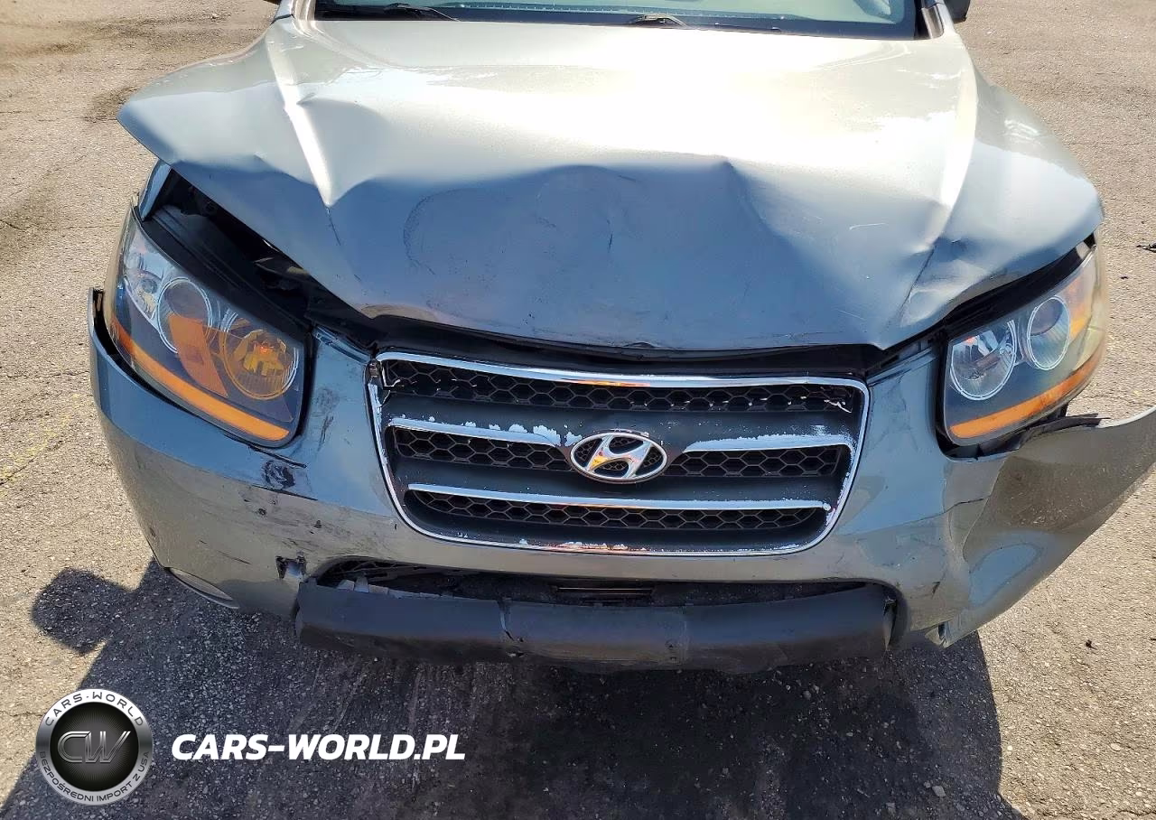 2008 Hyundai Santa Fe Se VIN:5NMSH13E98H150487 - 12