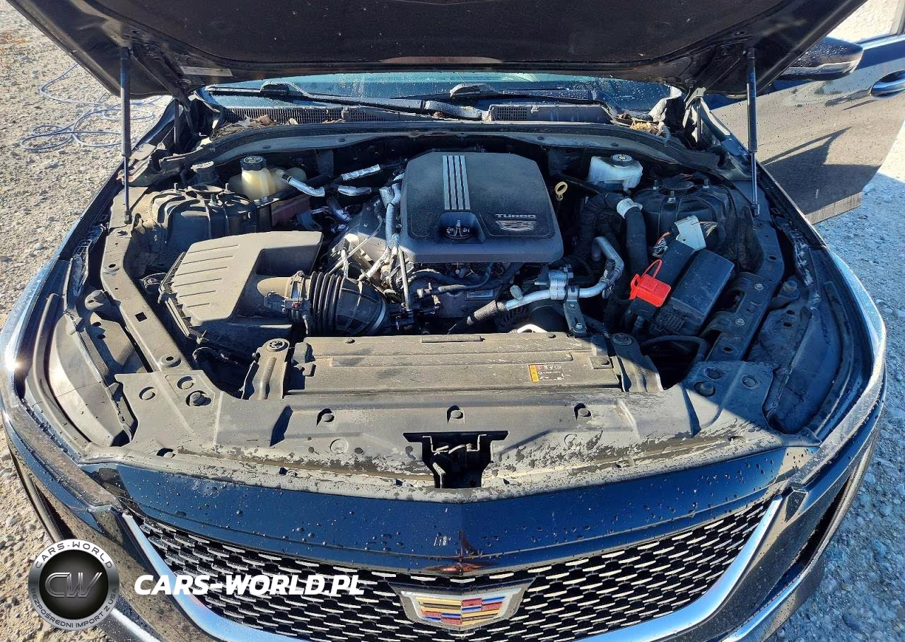 2020 Cadillac Ct5 Premium Luxury VIN:1G6DT5RK6L0150986 - 11