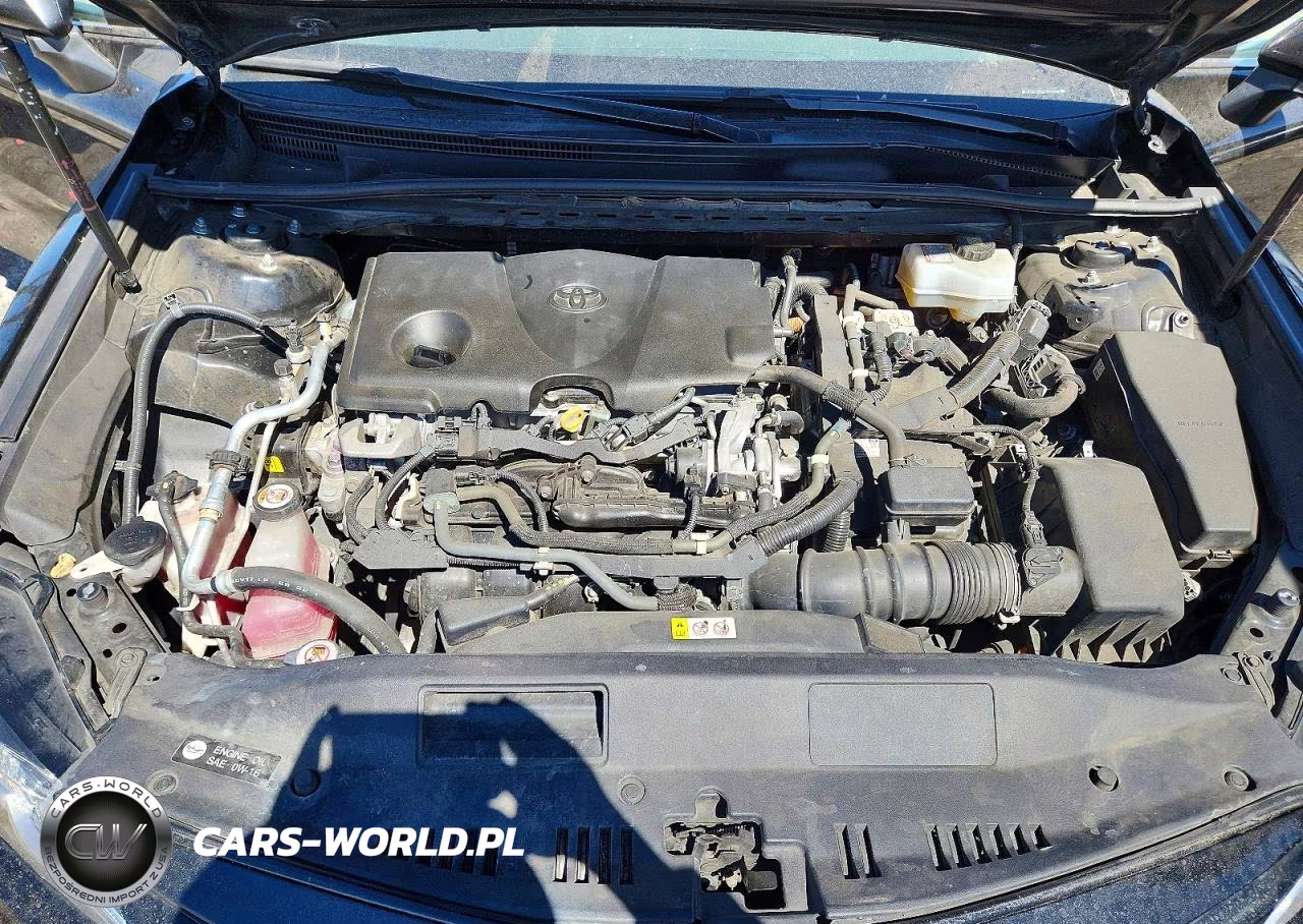 2019 Toyota Camry Le VIN:4T1B31HK9KU510589 - 11