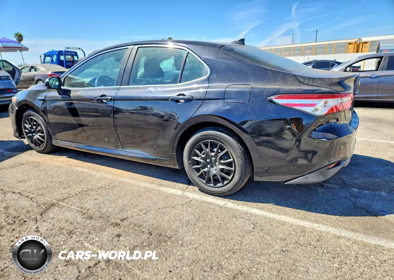 2019 Toyota Camry Le VIN:4T1B31HK9KU510589 - 2