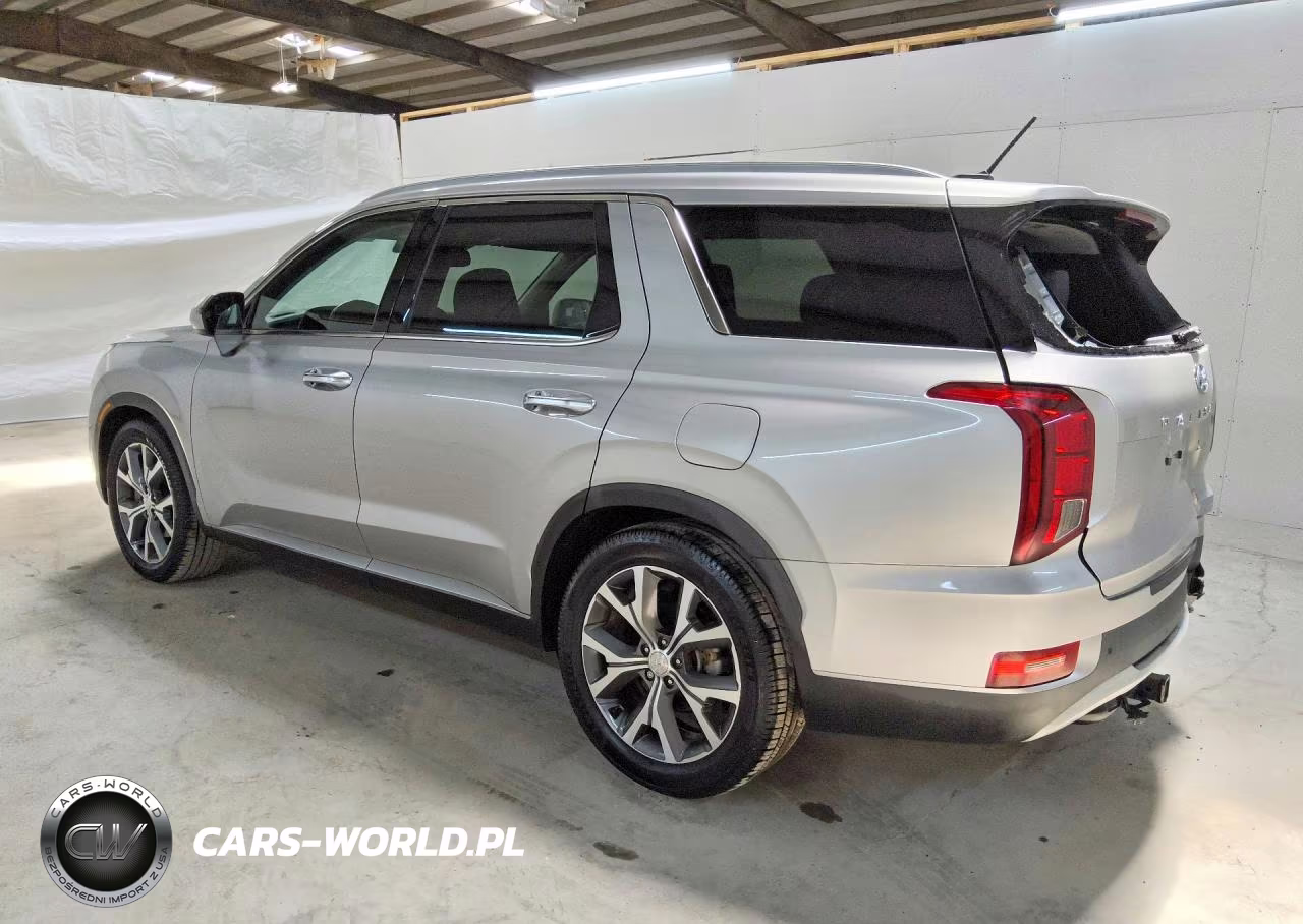 2022 Hyundai Palisade Sel VIN:KM8R34HE8NU373823 - 2