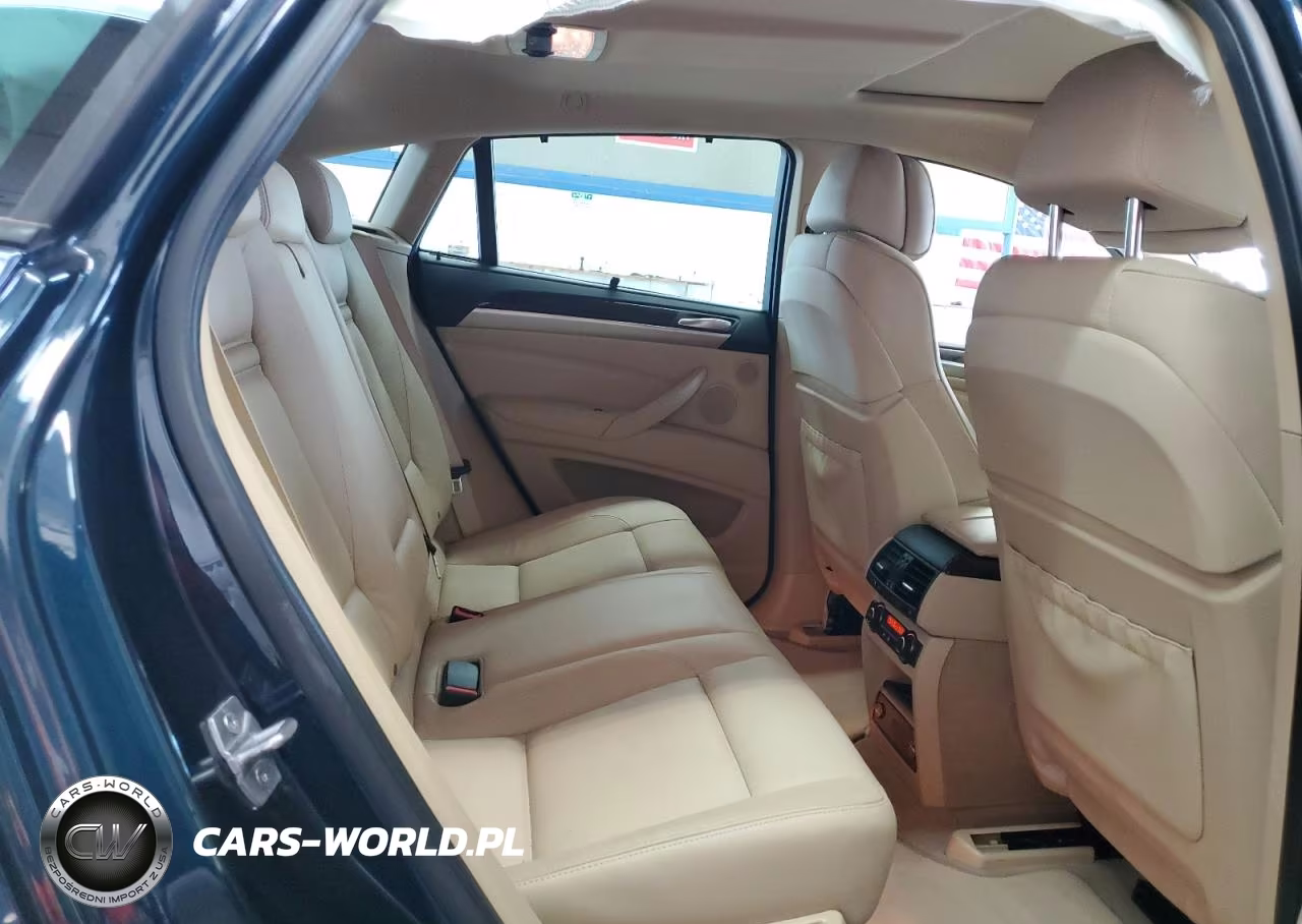 2013 BMW X6 xDrive35I VIN:5UXFG2C53DL785951 - 11