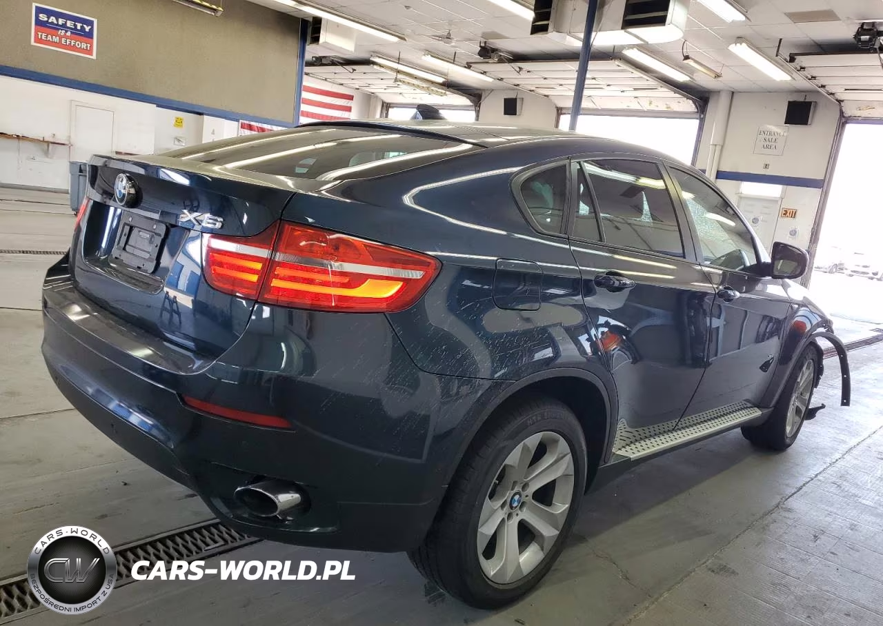 2013 BMW X6 xDrive35I VIN:5UXFG2C53DL785951 - 3
