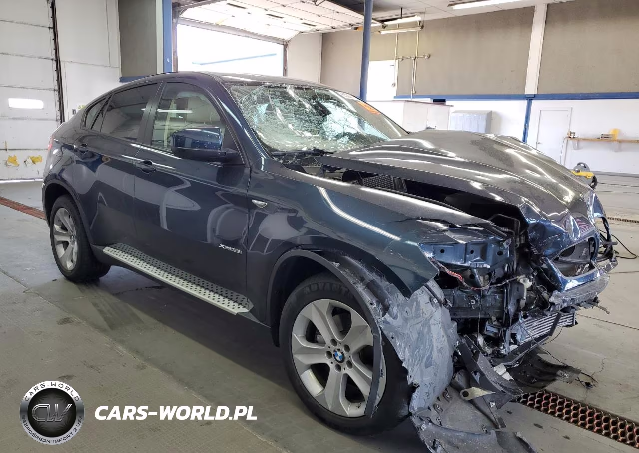 2013 BMW X6 xDrive35I VIN:5UXFG2C53DL785951 - 4
