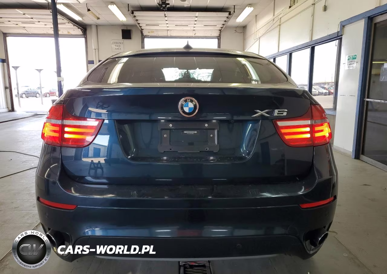 2013 BMW X6 xDrive35I VIN:5UXFG2C53DL785951 - 6