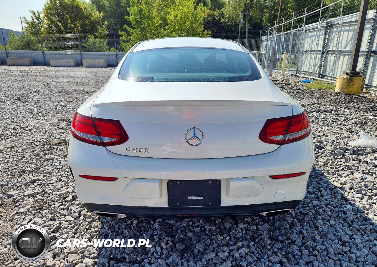 2018 Mercedes-Benz C 300 VIN:WDDWJ4JB3JF671911 - 6