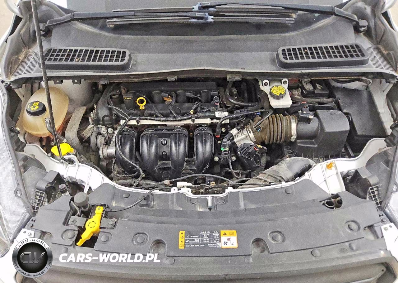 2019 Ford Escape S VIN:1FMCU0F72KUB50026 - 12