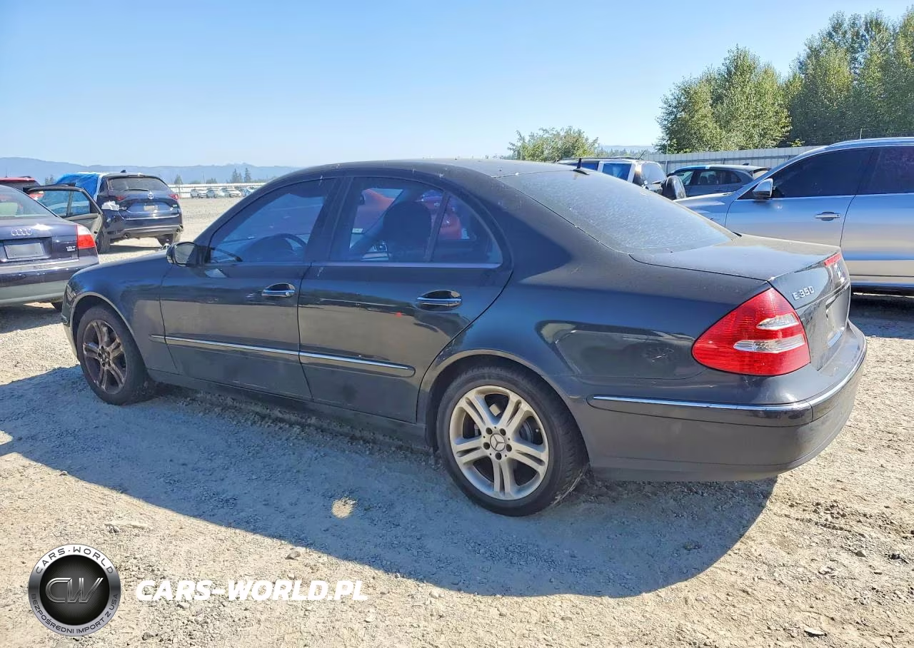 2006 Mercedes-Benz E 350 VIN:WDBUF56J56A873029 - 2