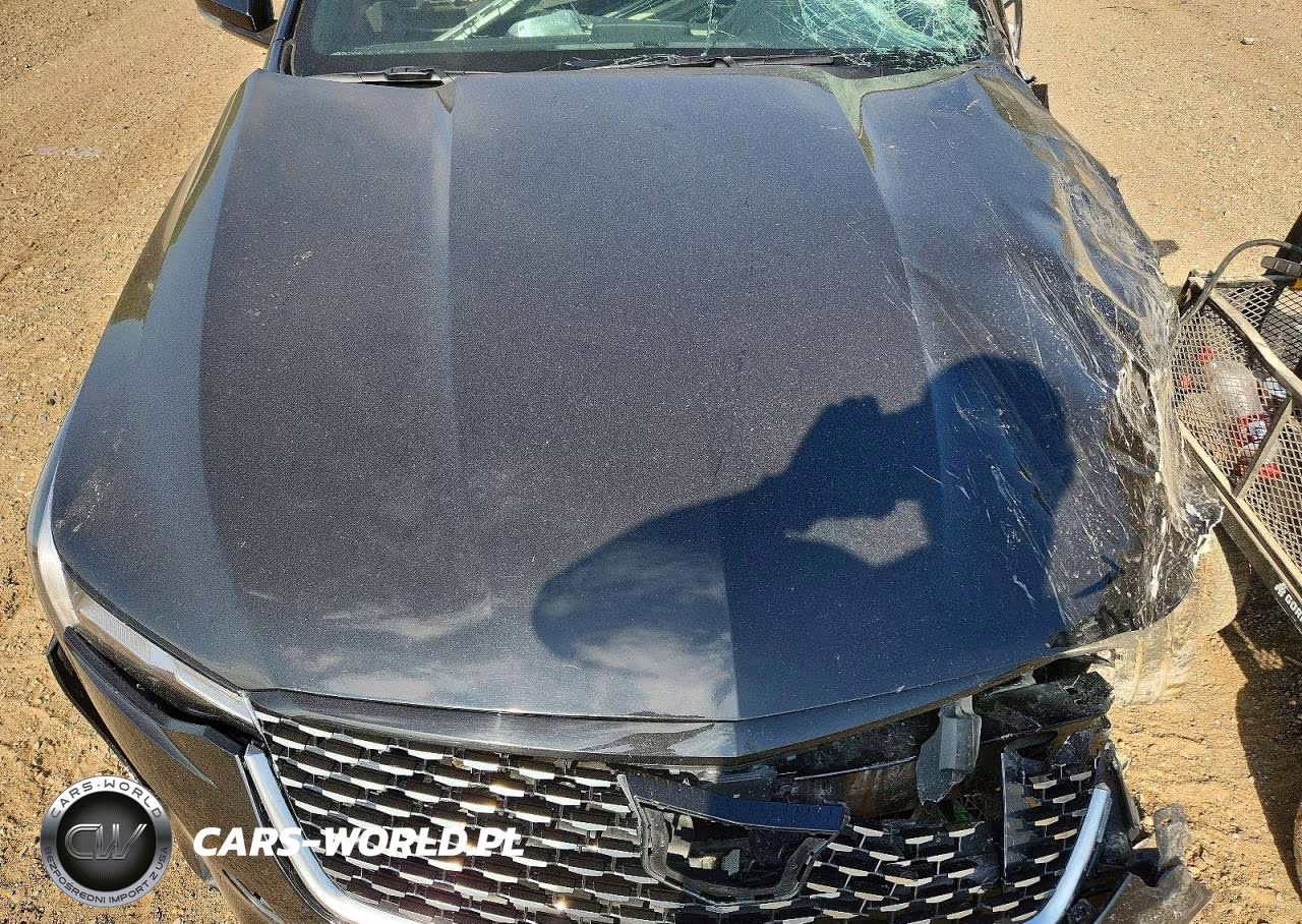 2023 Cadillac Ct4 Premium Luxury VIN:1G6DF5RK8P0105660 - 11