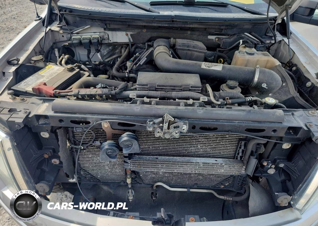 2010 Ford F150 Supercrew VIN:1FTFW1EV5AKB97627 - 11