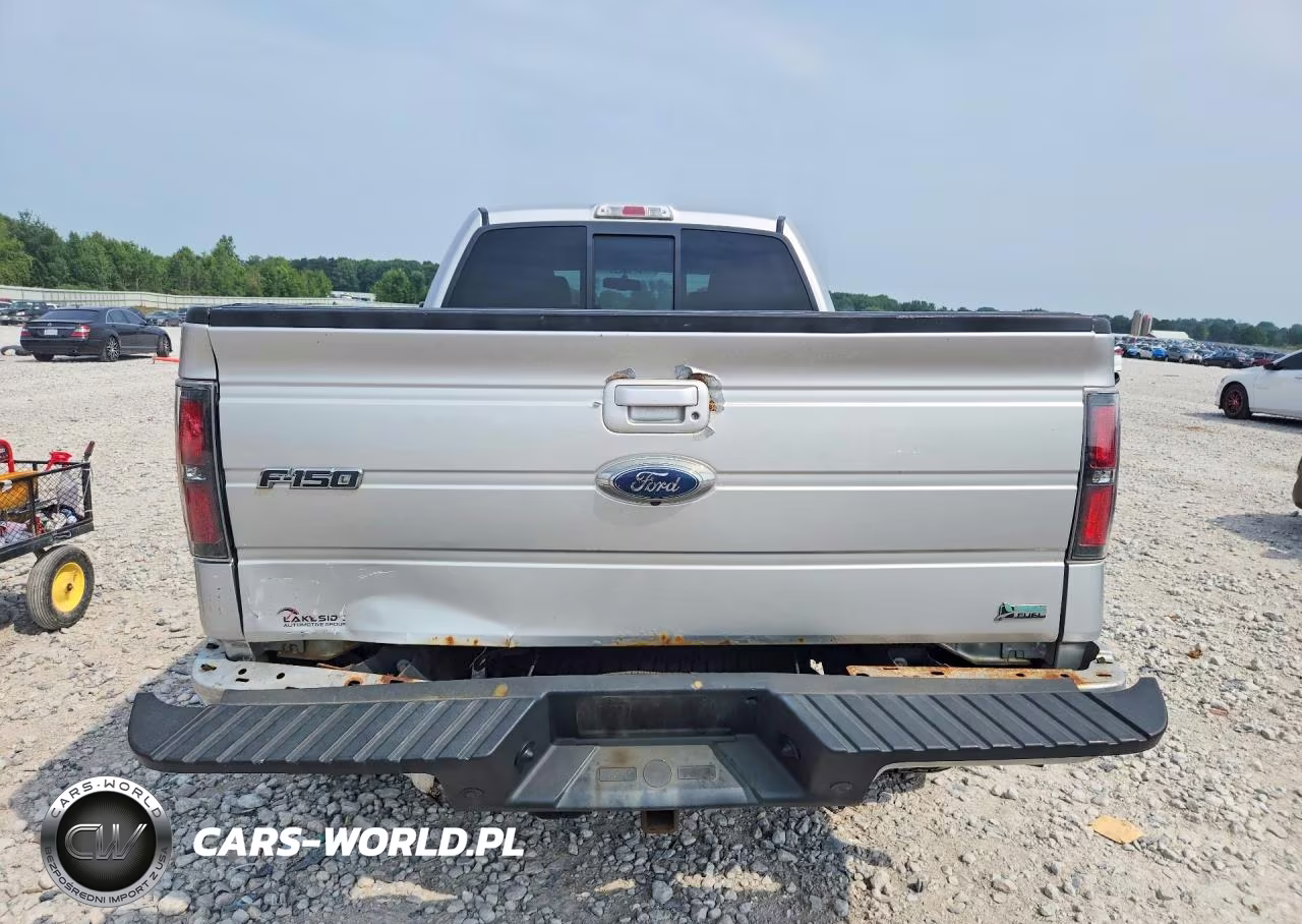 2010 Ford F150 Supercrew VIN:1FTFW1EV5AKB97627 - 6
