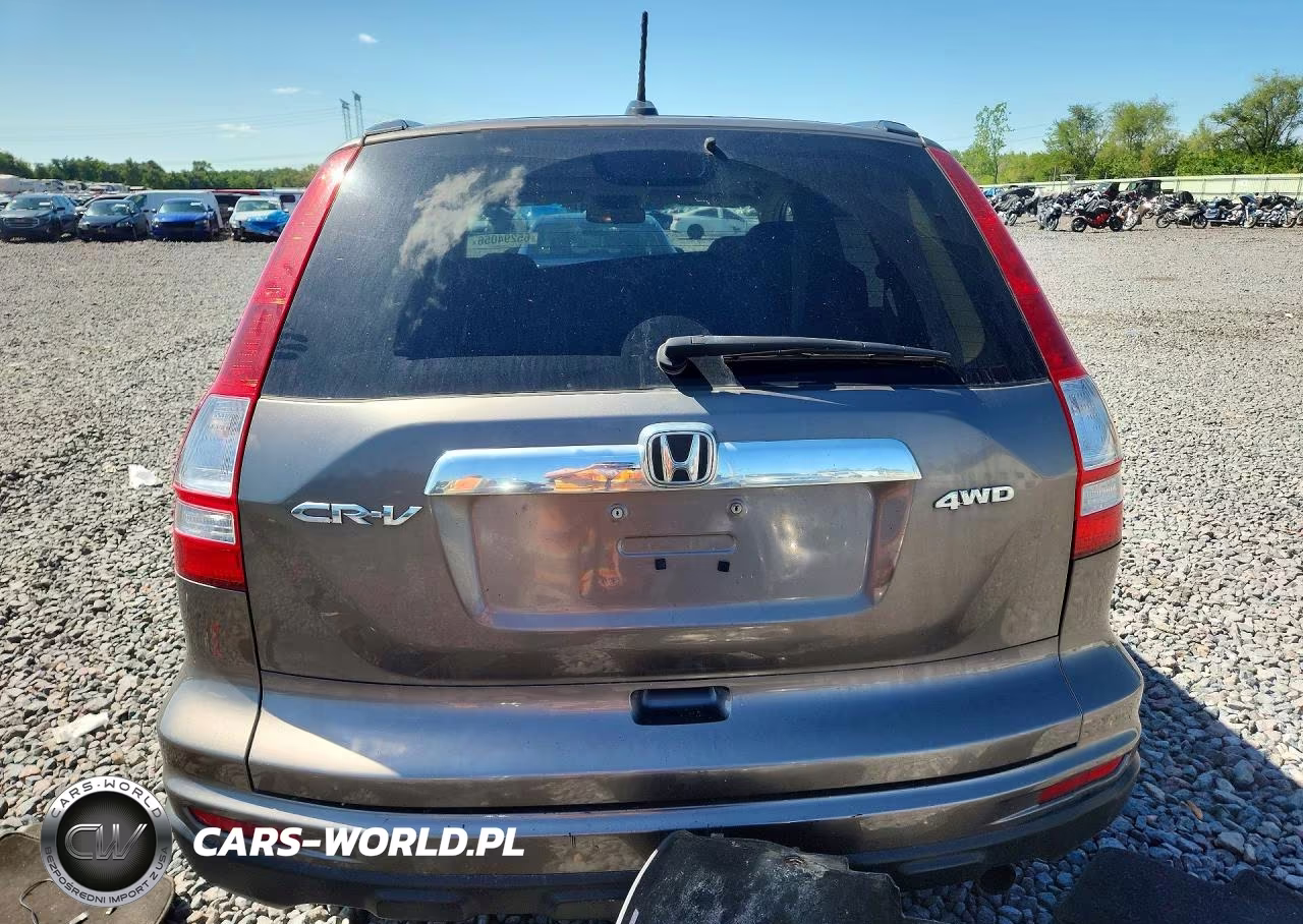 2010 Honda Cr-V Exl VIN:5J6RE4H73AL028581 - 6