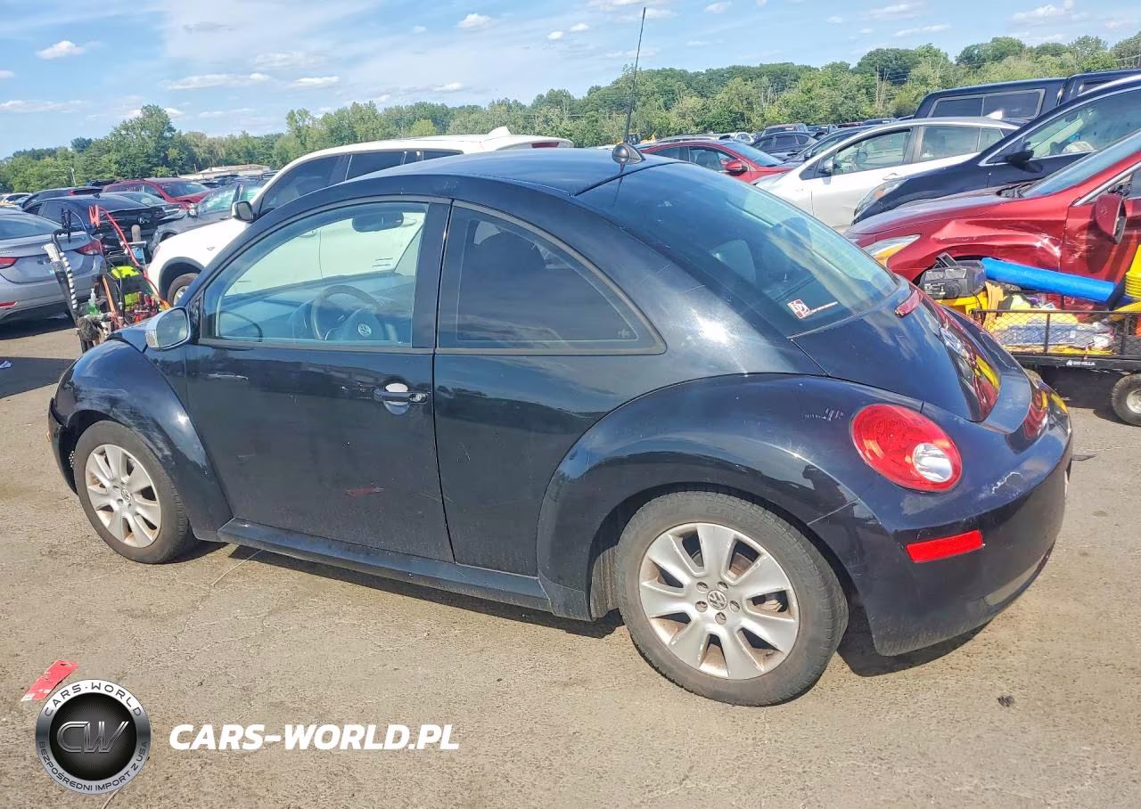 2008 Volkswagen New Beetle S VIN:3VWPW31C18M505168 - 2