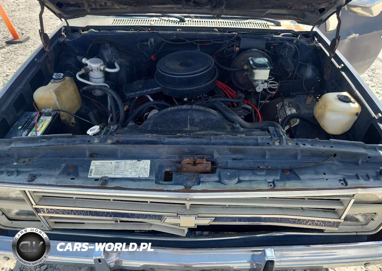 1985 Chevrolet C10 VIN:1GCDC14H5FF353659 - 11