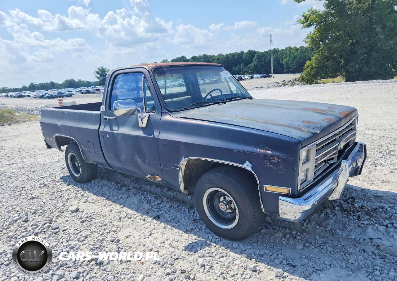 1985 Chevrolet C10 VIN:1GCDC14H5FF353659 - 4