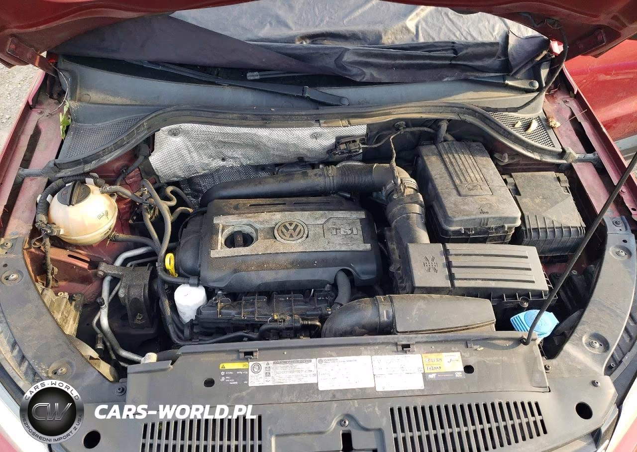 2014 Volkswagen Tiguan S VIN:WVGBV3AX6EW045984 - 12