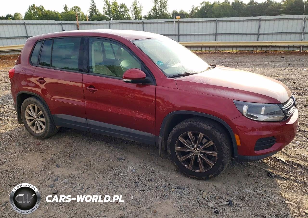2014 Volkswagen Tiguan S VIN:WVGBV3AX6EW045984 - 4