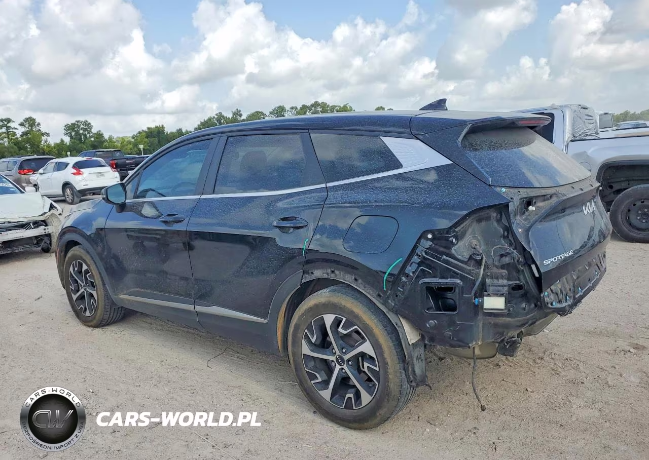2023 Kia Sportage Ex VIN:5XYK33AF8PG041355 - 2