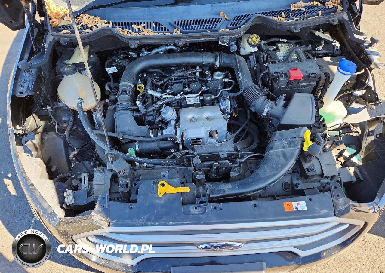 2018 Ford Ecosport Se VIN:MAJ3P1TE1JC172260 - 12