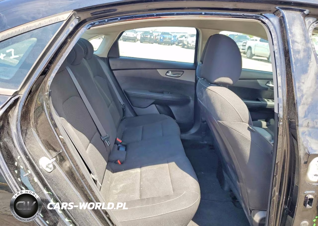 2020 Kia Forte Fe VIN:3KPF24AD8LE184354 - 10