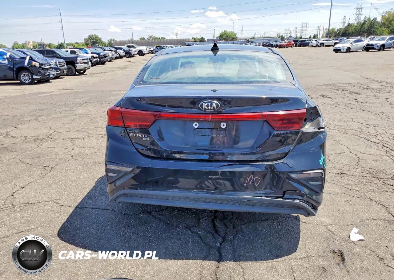 2020 Kia Forte Fe VIN:3KPF24AD8LE184354 - 6
