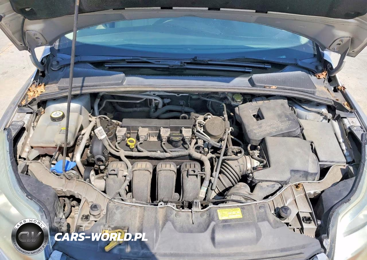 2012 Ford Focus Sel VIN:1FAHP3M27CL120706 - 11