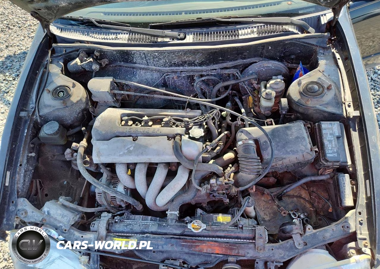 1999 Toyota Corolla Ve VIN:2T1BR12E4XC160380 - 11