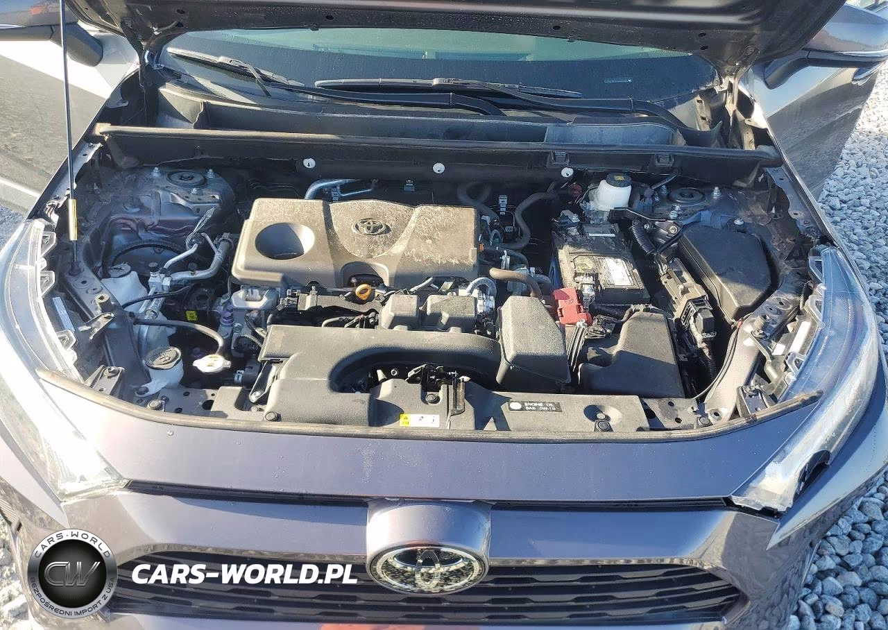 2023 Toyota Rav4 Xle VIN:2T3P1RFV1PW353064 - 12