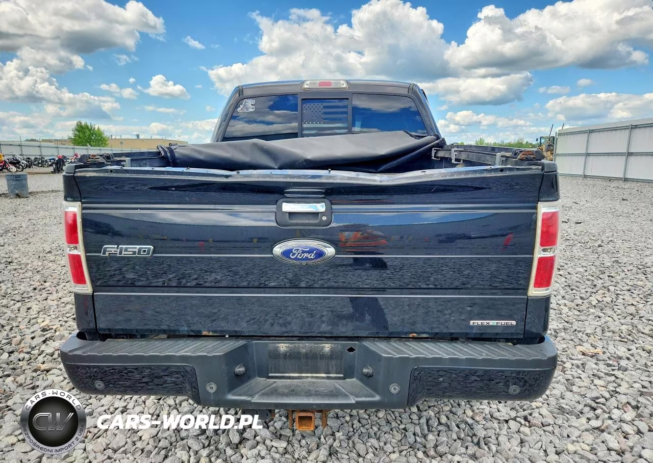 2014 Ford F150 Supercrew VIN:1FTFW1EF3EFA25779 - 6