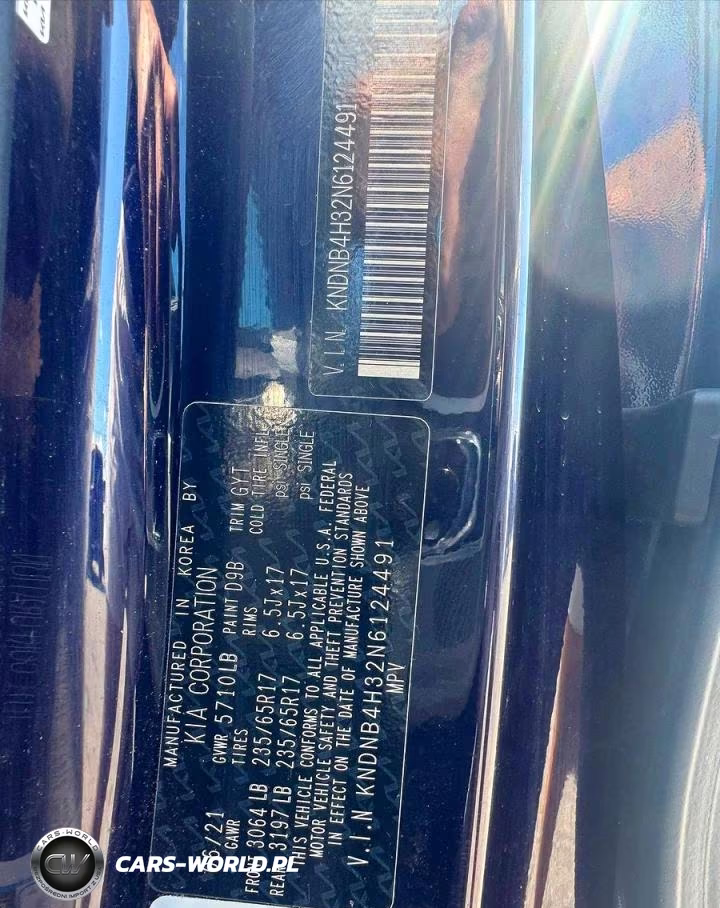 2022 Kia Carnival Lx VIN:KNDNB4H32N6124491 - 10