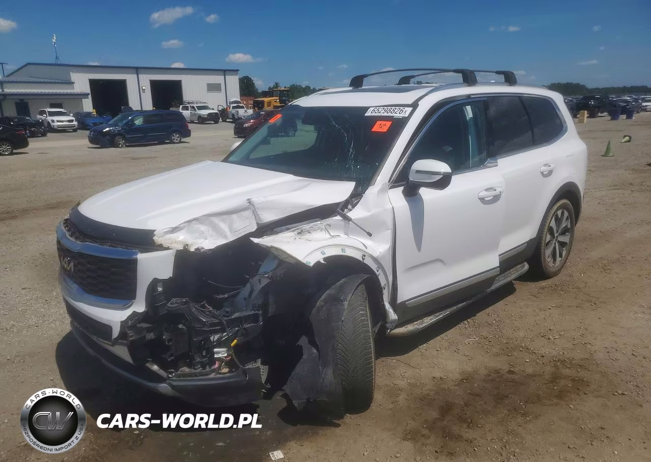 2022 Kia Telluride Ex VIN:5XYP34HC4NG248927 - 1