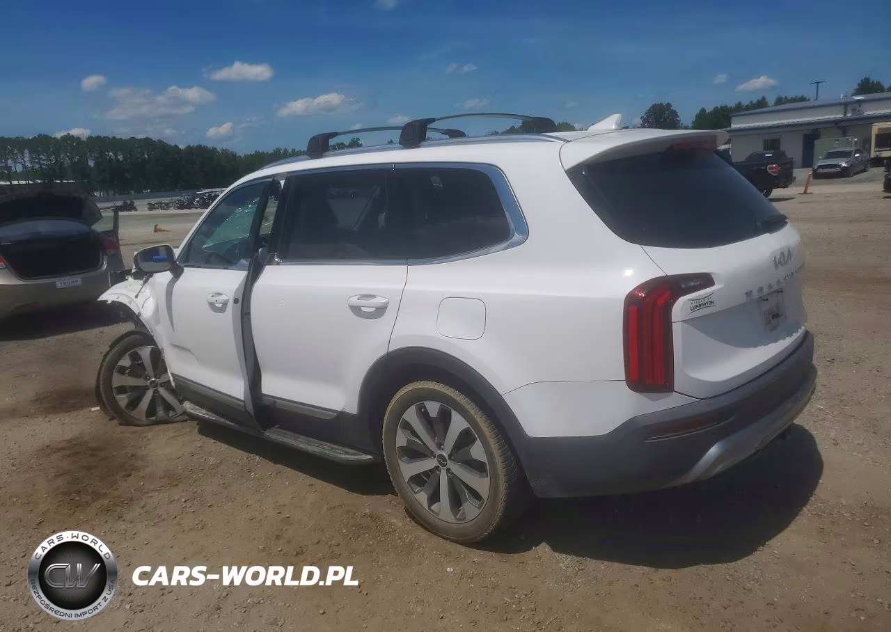 2022 Kia Telluride Ex VIN:5XYP34HC4NG248927 - 2