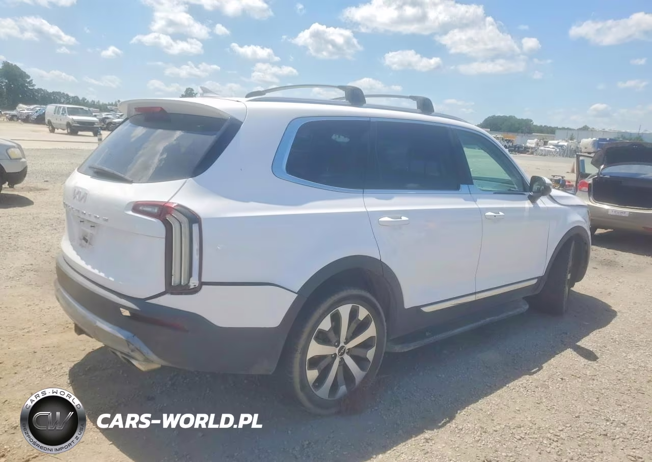 2022 Kia Telluride Ex VIN:5XYP34HC4NG248927 - 3