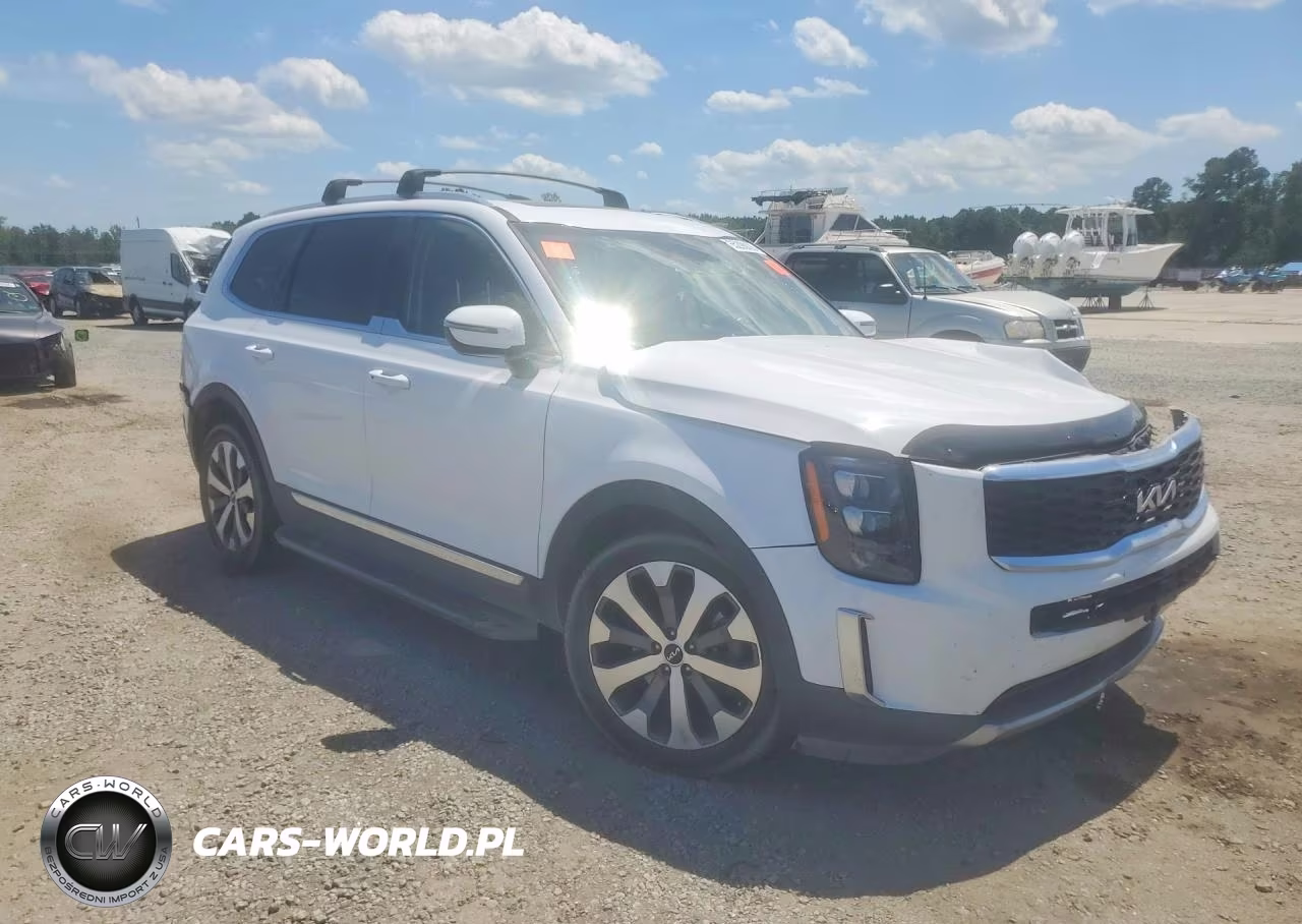 2022 Kia Telluride Ex VIN:5XYP34HC4NG248927 - 4
