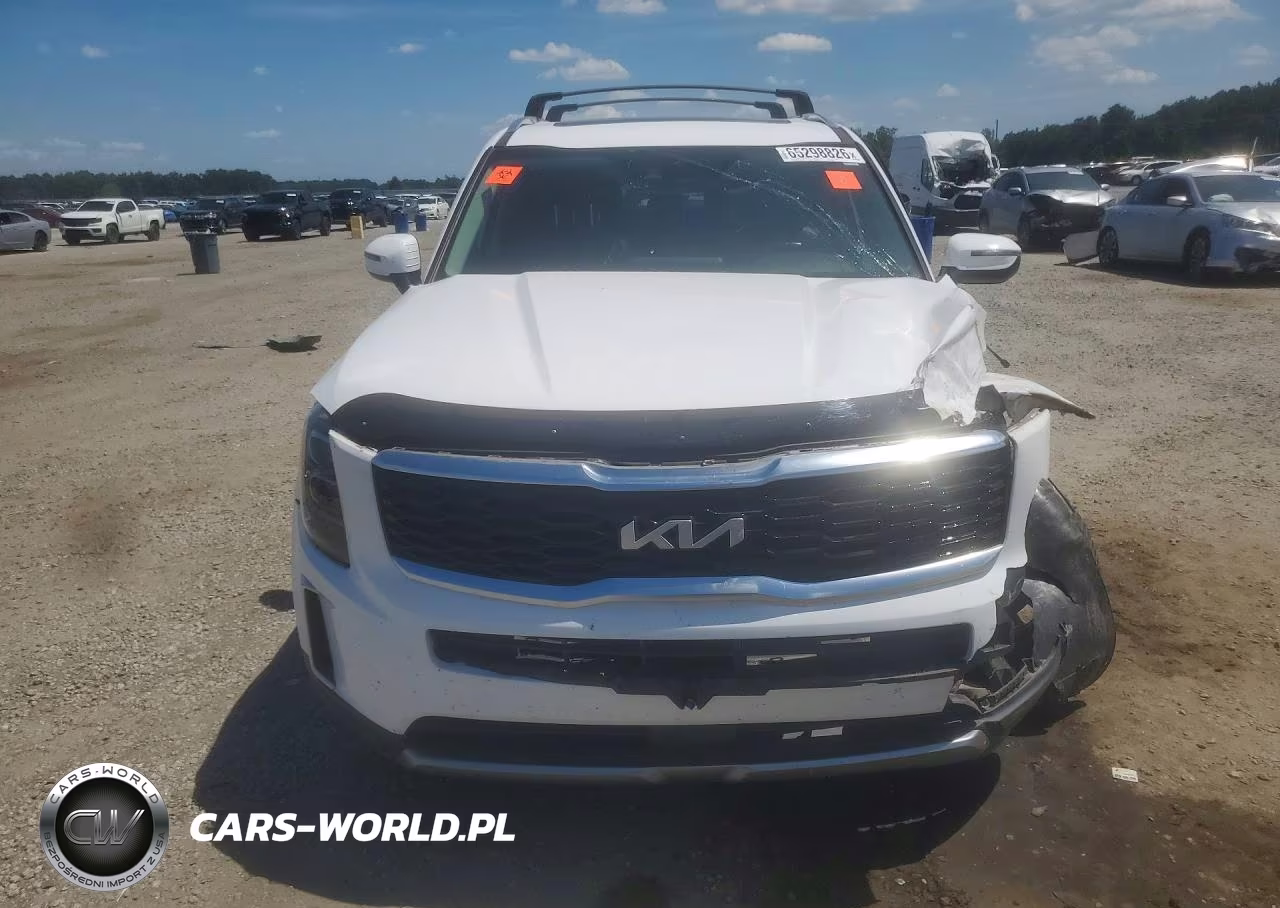 2022 Kia Telluride Ex VIN:5XYP34HC4NG248927 - 5