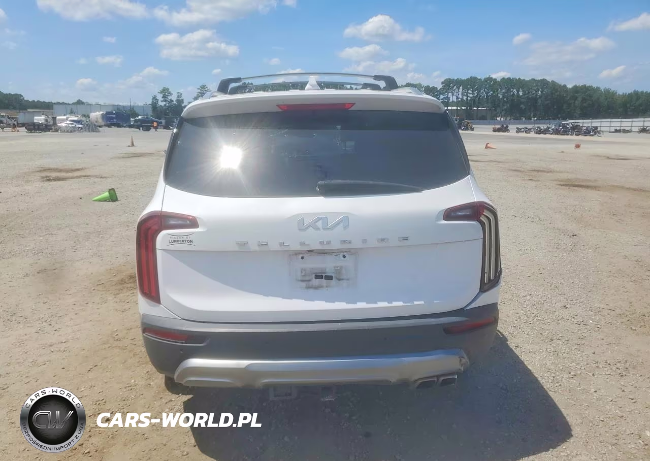 2022 Kia Telluride Ex VIN:5XYP34HC4NG248927 - 6