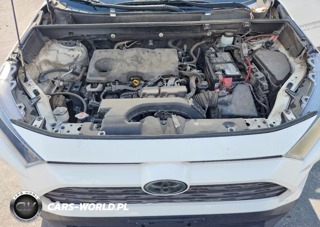 2019 Toyota Rav4 Le VIN:JTMF1RFVXKD006057 - 12