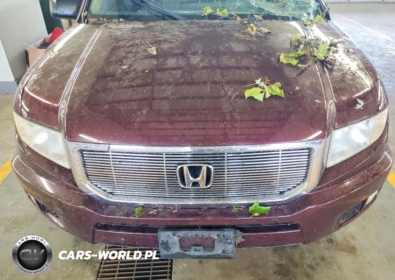 2009 Honda Ridgeline Rt VIN:2HJYK16299H501842 - 11