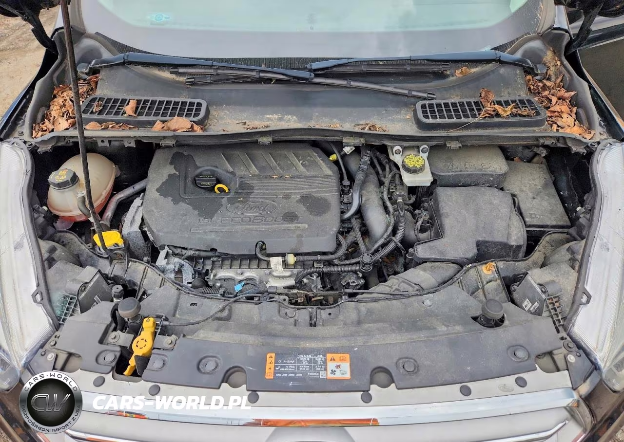 2018 Ford Escape Sel VIN:1FMCU9HD4JUC43684 - 11