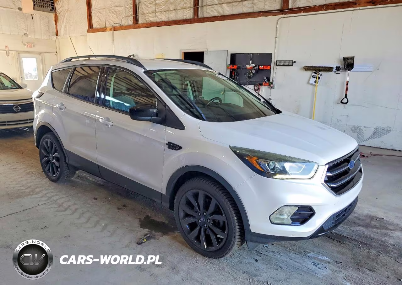 2017 Ford Escape Se VIN:1FMCU9G92HUA00172 - 4